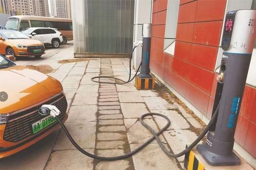 哈爾濱城市公共交通全面邁入電動時代，推動道路旅客運輸經營綠色轉型